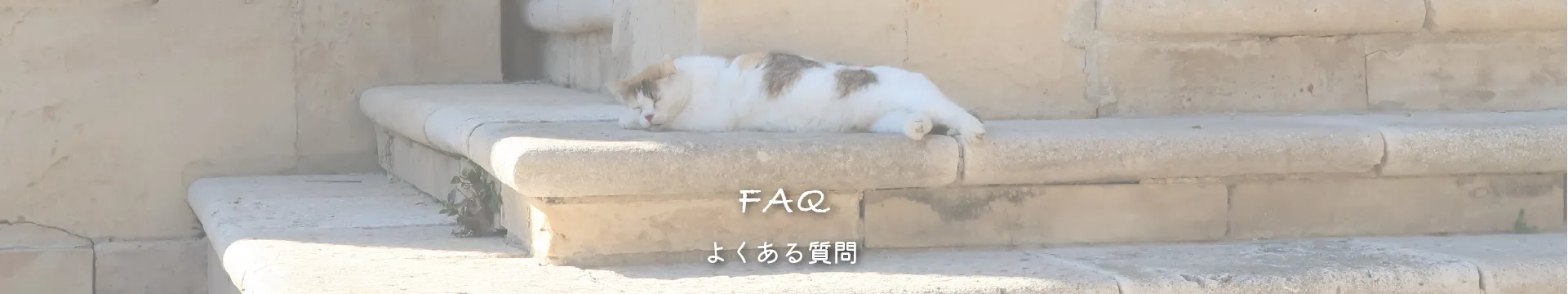 よくある質問 トップ 画像