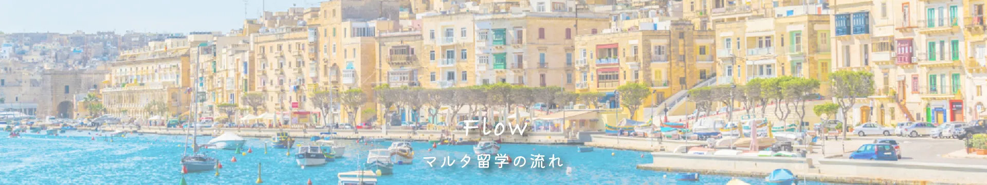 マルタ留学の流れ　トップ　画像